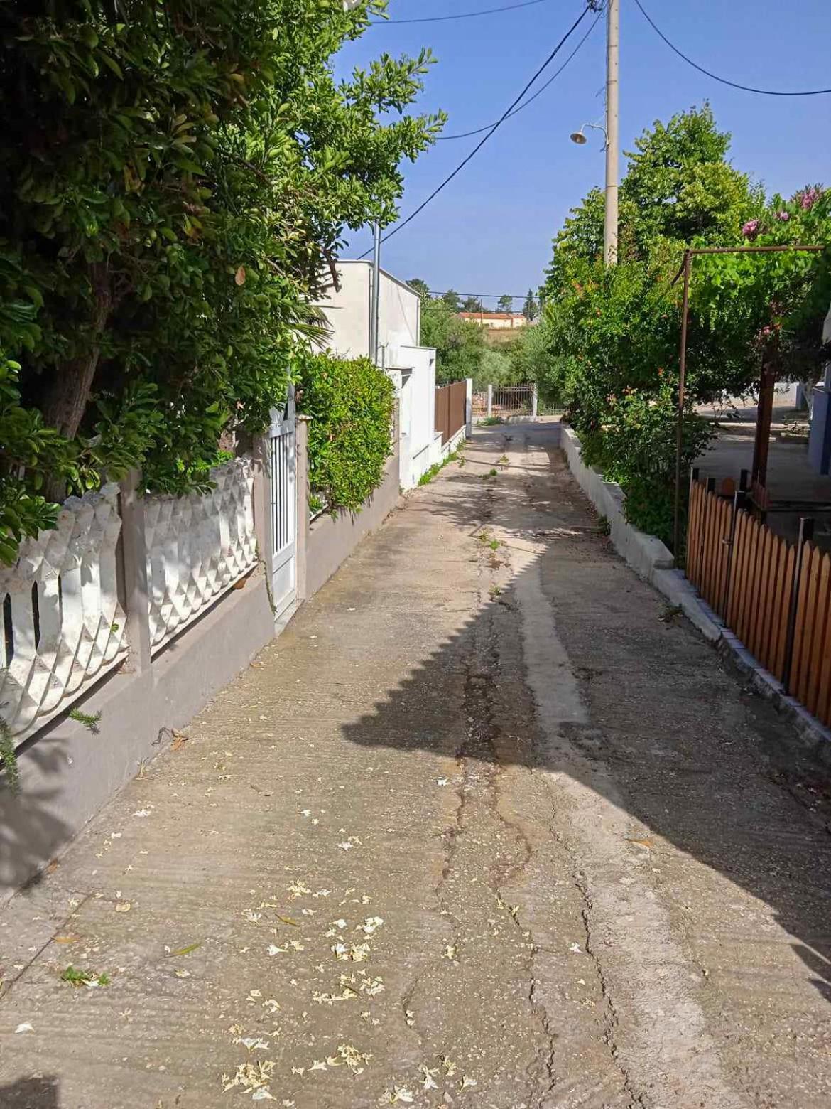 Κυανή Ακτή - Agia Paraskevi Mákri Eksteriør bilde